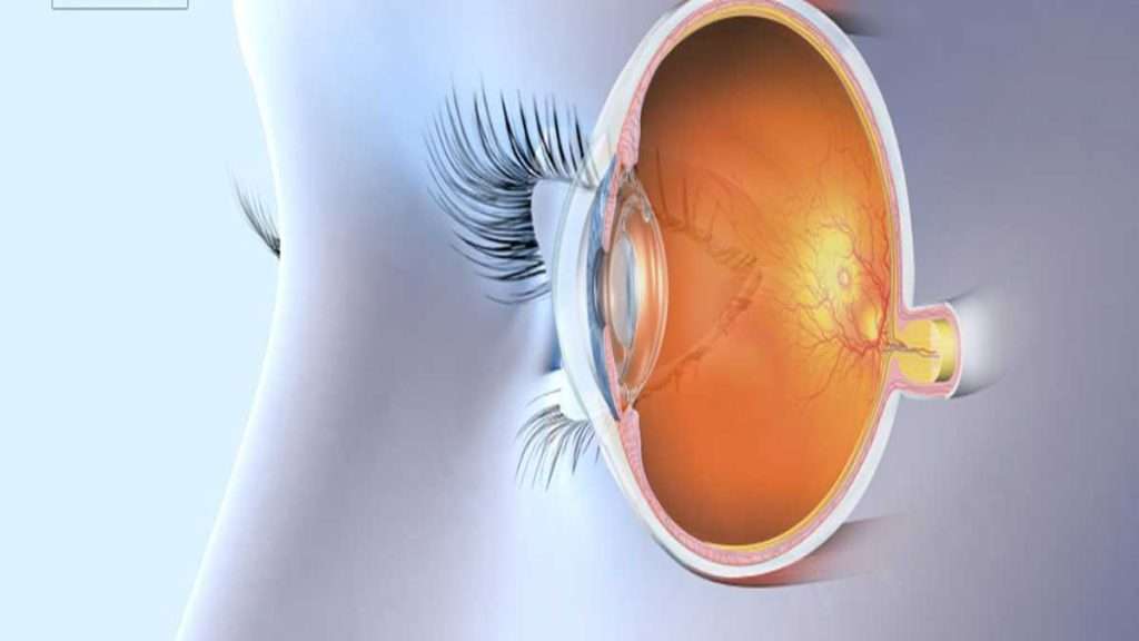 نوار عصب بینایی چشم