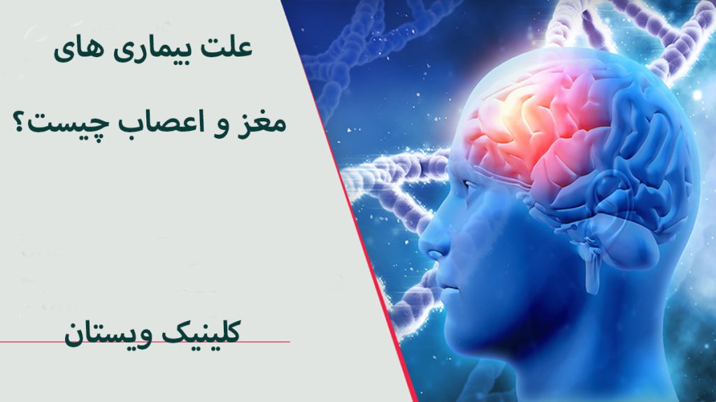علت بیماری های عصبی مشکل در مغز یک فرد با رنگ قرمز نمایش داده می شود