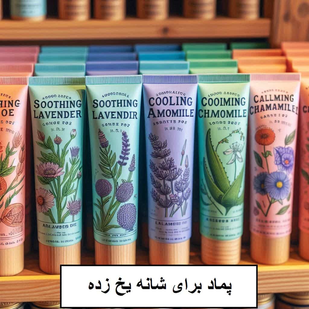 پماد یکی از راهای تسکین درد شانه است پمادهایی که برای درد شانه خوب هستند