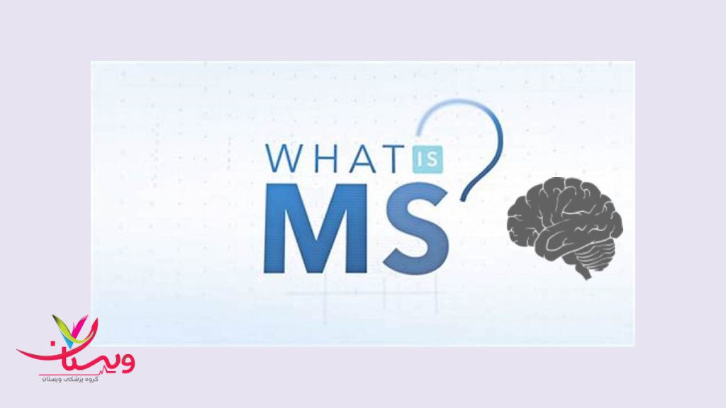 ام اس چیه؟ 