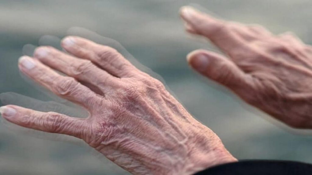 عملکرد عصبی