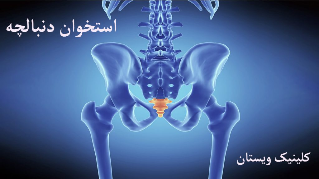 تصویری دیجیتالی از استخوان لگن و دننبالچه انسان