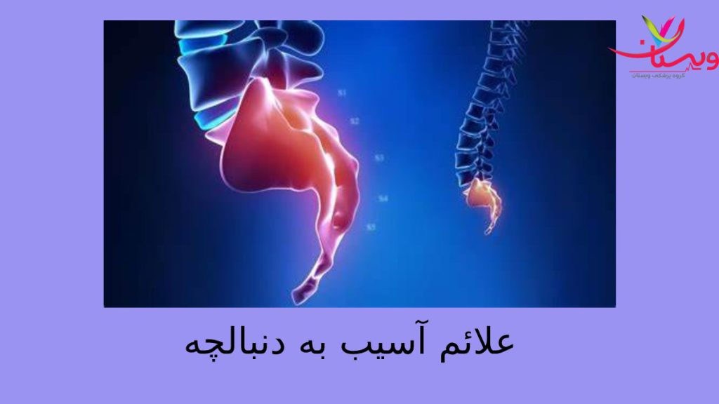 تجربه درد ناک درد دنبالچه نمایی از استخوان دنبالچه که دچار درد شده است