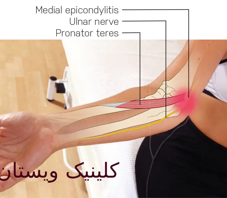 عضلات انسان به سه دسته تقسیم میشوند: عضلات ارادی، غیرارادی و قلبی. عضلات ارادی مانند عضلات اسکلت بدن هستند که حرکتهای عمدی و کنترلشده را ایجاد میکنند. اعصاب از نورونها ساخته شدهاند که پیامها را به شکل الکتریکی منتقل میکنند.