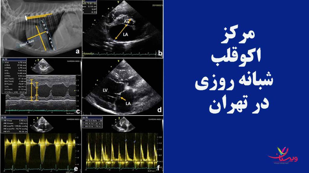 مراکز اکو تخصصی شمال تهران مراکز اکو قلب شمال تهران