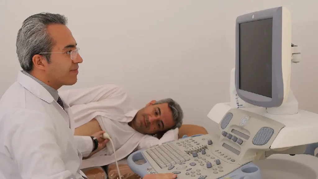 اصطلاحات رایج در اکوی قلب