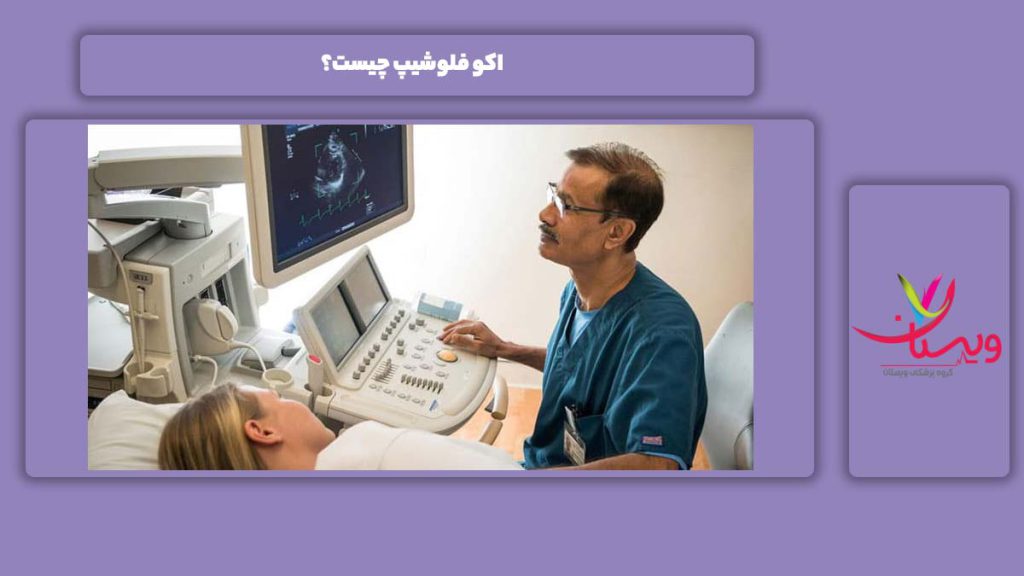 اکو فلوشیپ چیست؟