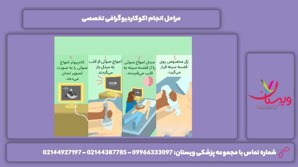 مرحلههای اکوکاردیوگرافی اکوکاردیوگرافی تخصصی