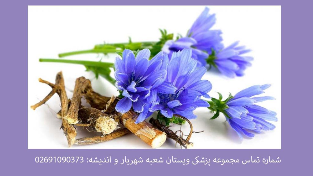 درمان فشار خون بالا با عرقیات گیاهی